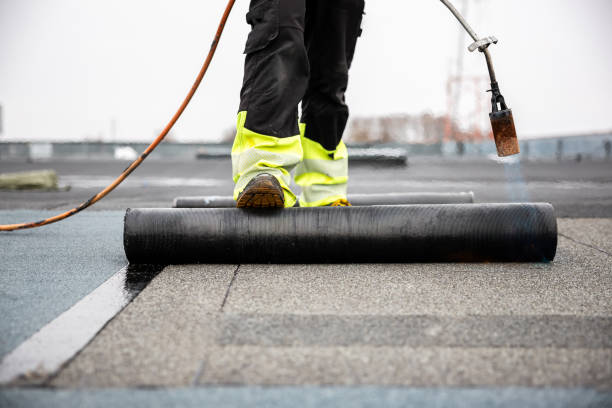 Best Roof Moss and Algae Removal  in Madisonville, TN